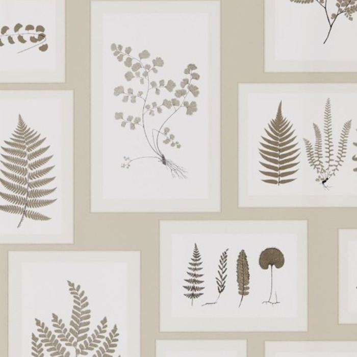 Sanderson wallpaper woodland walk 8 product detail