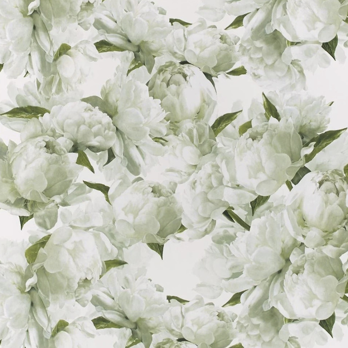 Designers guild wallpaper foscari fresco 13 product detail