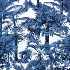 Thibaut tropics fabric 28 product detail