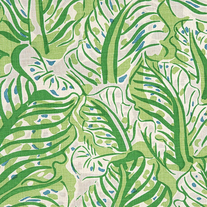 C farr fabric raoul dufy 49 product detail