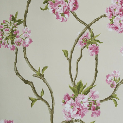 Nina campbell wallpaper sylvana 6 product detail