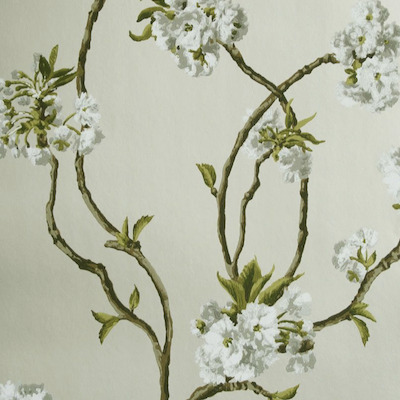 Nina campbell wallpaper sylvana 8 product detail