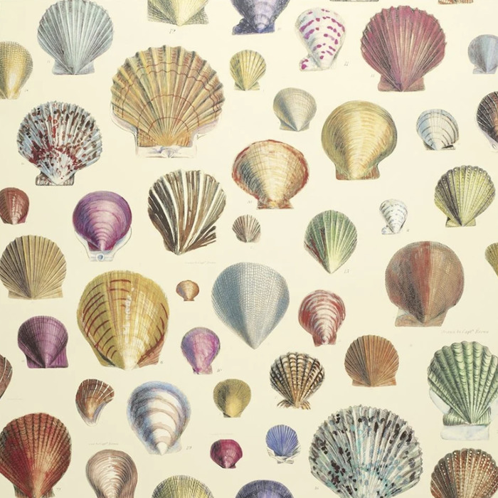 John derian wallpaper picture book 1 product detail