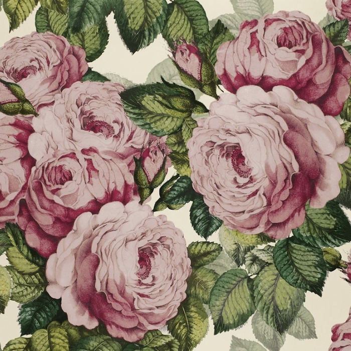 John derian wallpaper picture book 10 product detail