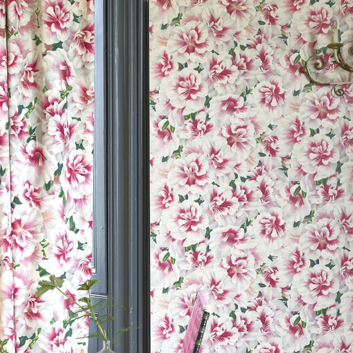 Variegated azalea wallpaper product detail