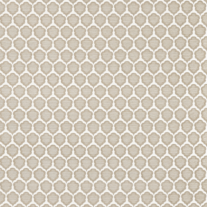 Thibaut companions fabric 27 product detail