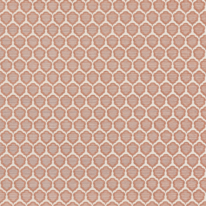 Thibaut companions fabric 28 product detail