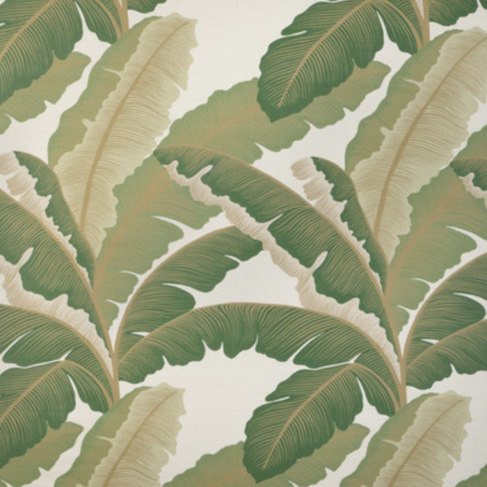 Kravet casa botanica 12 product detail