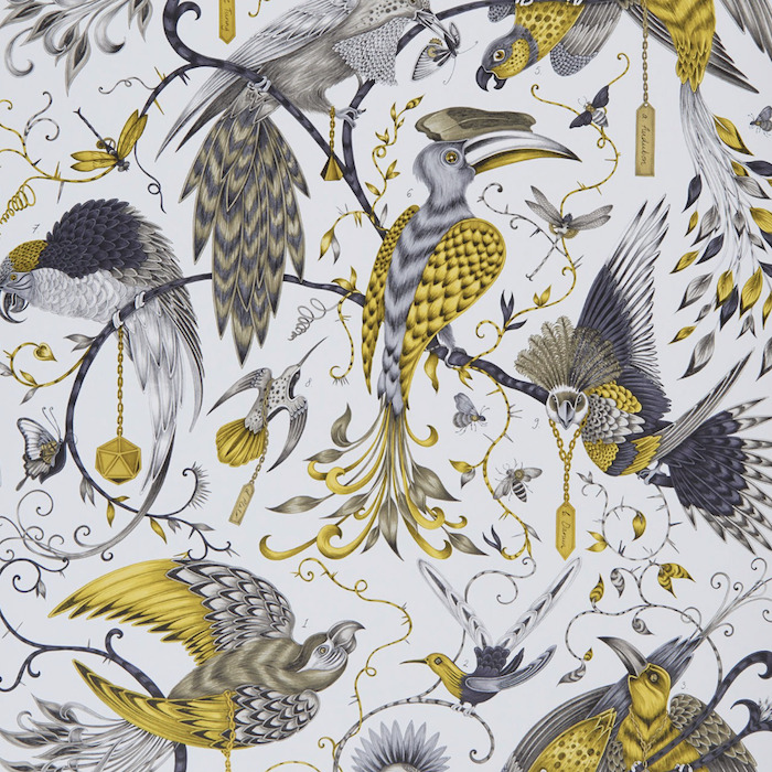 Emma shipley animalia 52 product detail