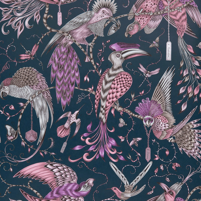 Emma shipley animalia 54 product detail