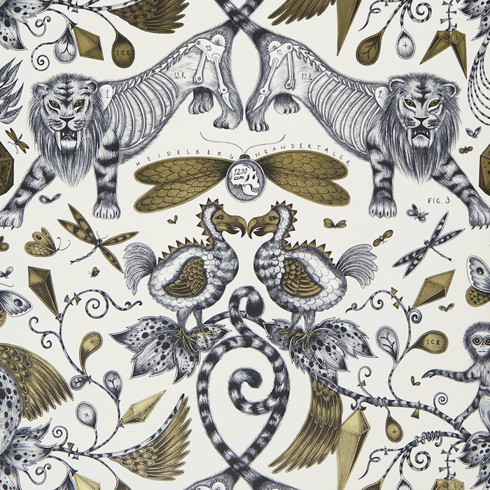 Emma shipley animalia 56 product detail