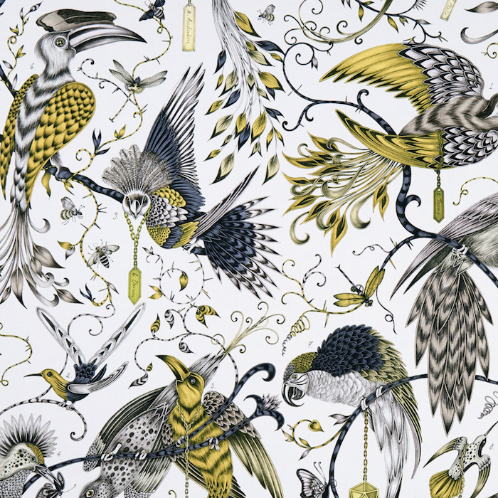 Emma shipley animalia 8 product detail