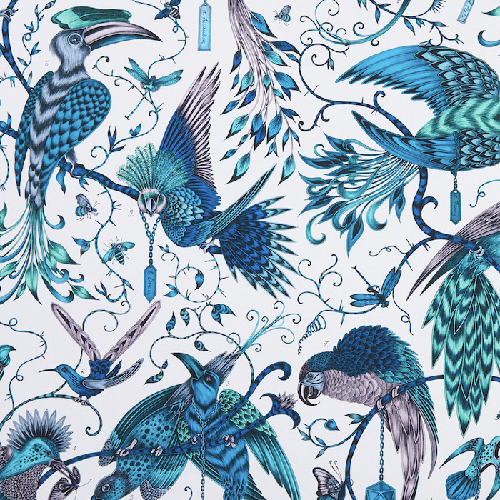 Emma shipley animalia 9 product detail