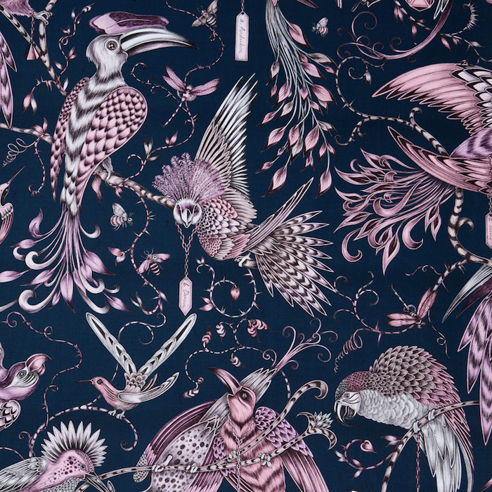 Emma shipley animalia 10 product detail