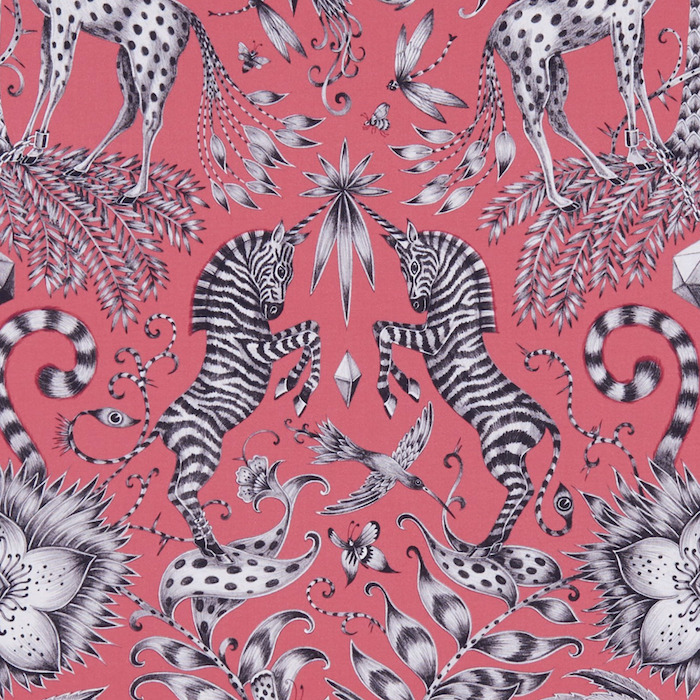 Emma shipley animalia 26 product detail