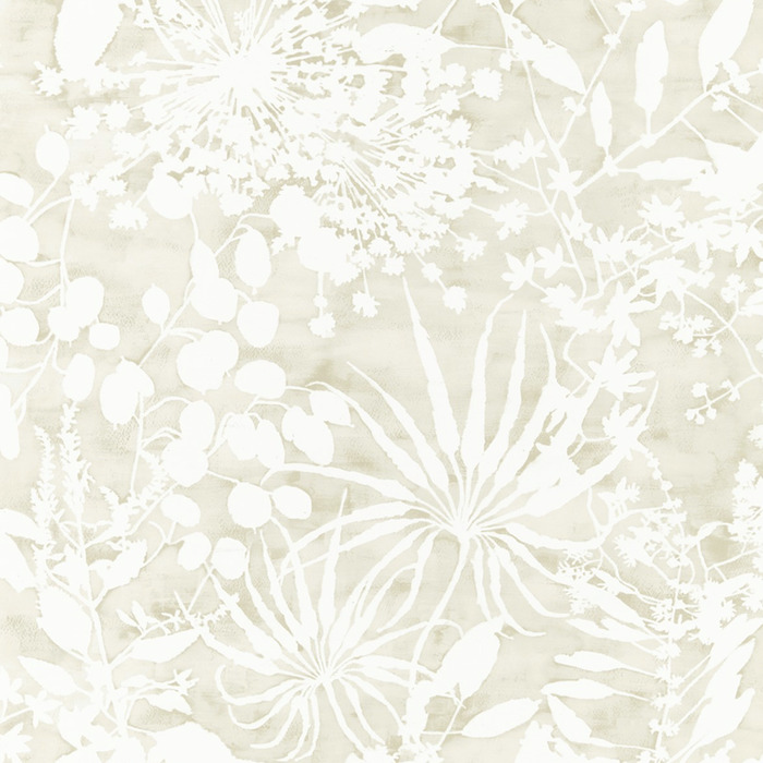 Harlequin wallpaper anthozoa 12 product detail