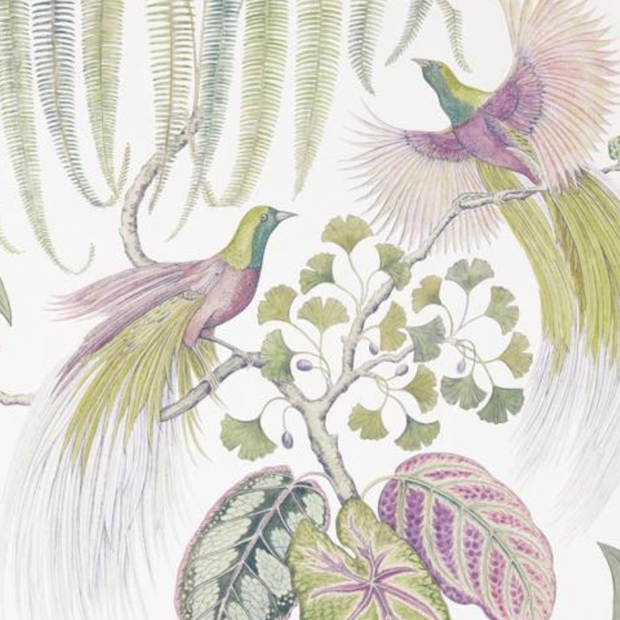 Sanderson wallpaper glasshouse 3 product detail