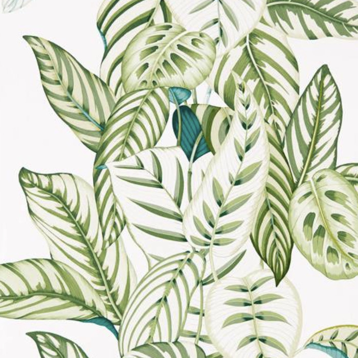 Sanderson wallpaper glasshouse 4 product detail