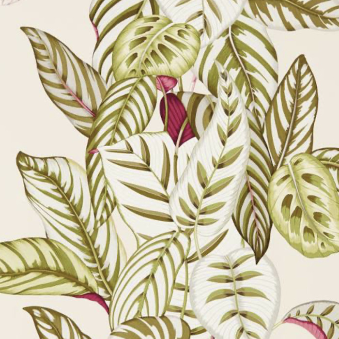 Sanderson wallpaper glasshouse 5 product detail