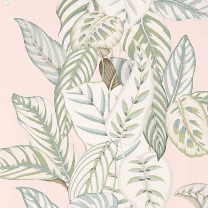 Sanderson wallpaper glasshouse 6 product detail