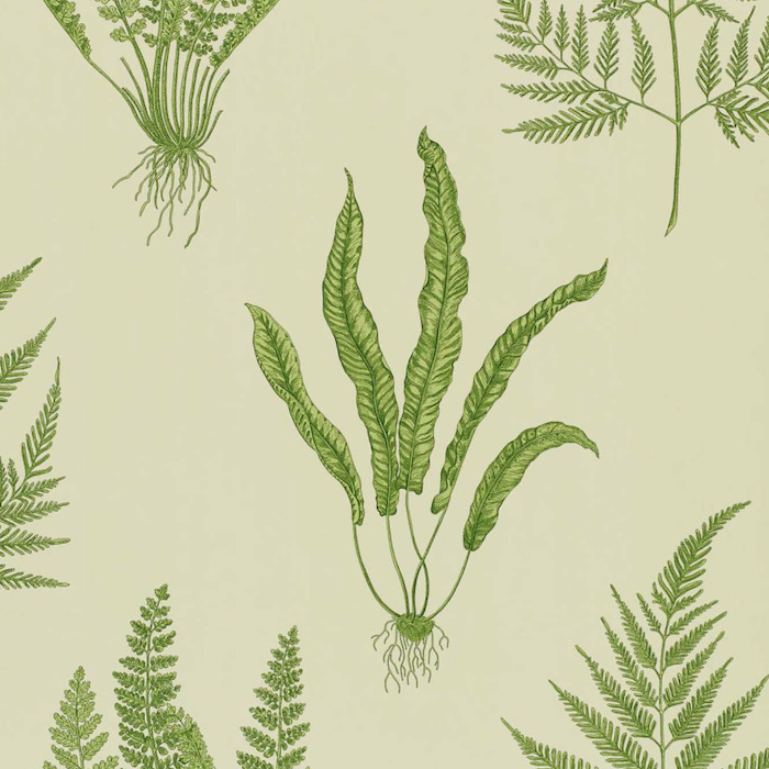 Sanderson wallpaper one sixty 77 product detail