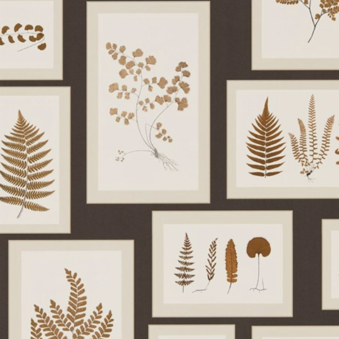 Sanderson wallpaper woodland walk 5 product detail