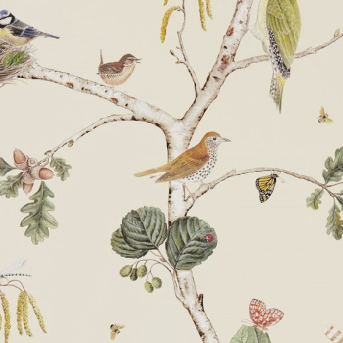 Sanderson wallpaper woodland walk 14 product detail