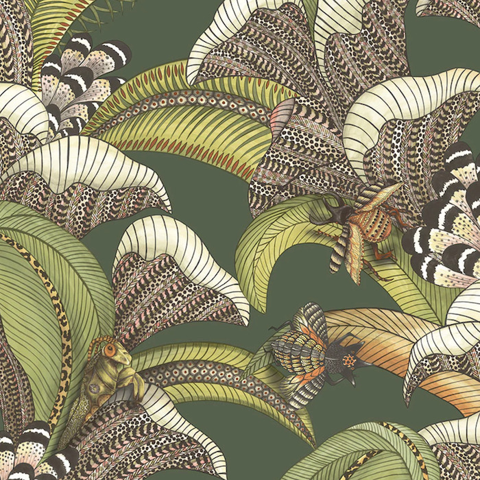 Cole and son wallpaper jabula 11 product detail