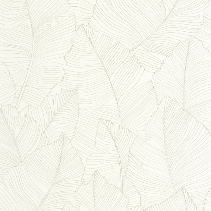 Caselio wallpaper borneo 8 product detail
